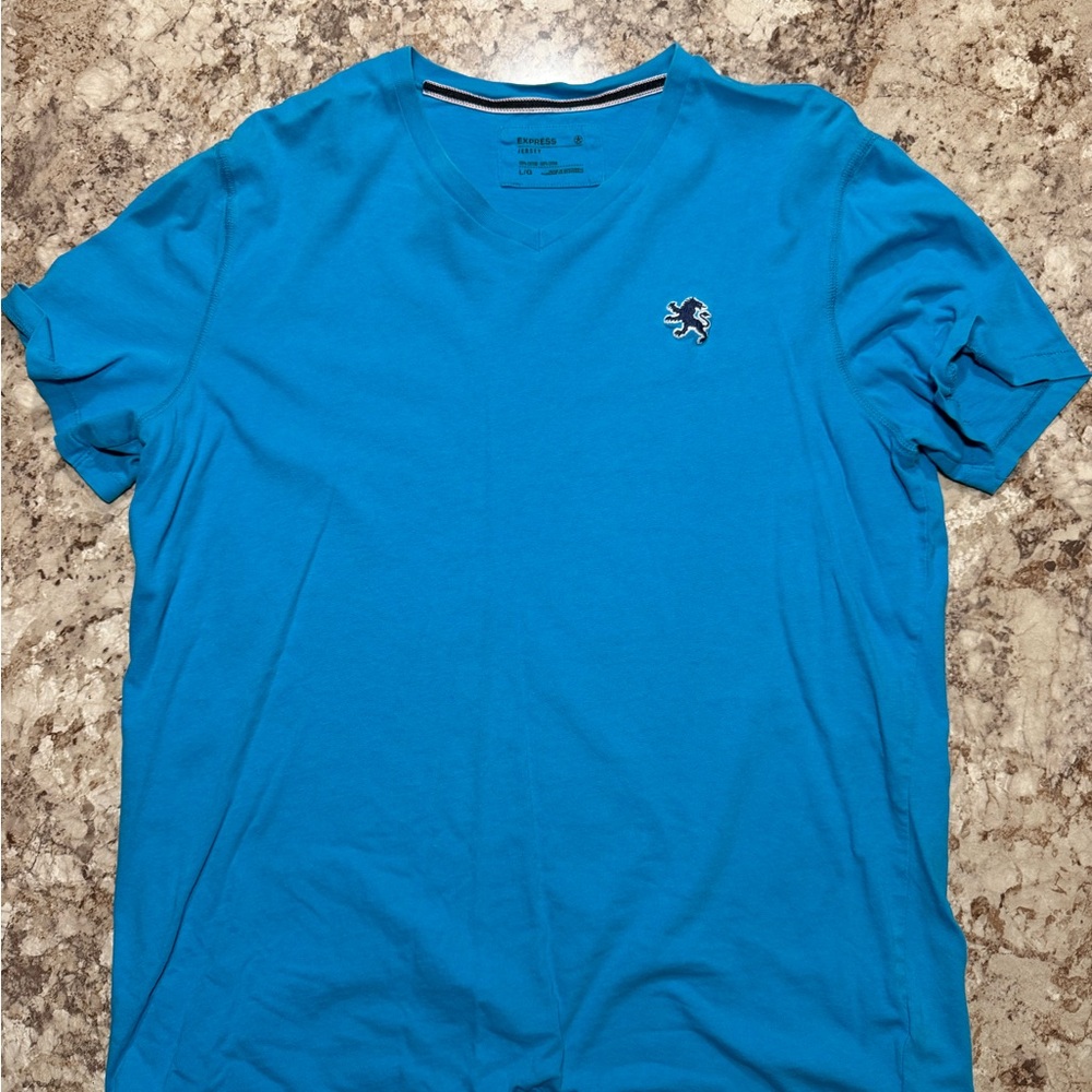 Express Men's Teal V-Neck Tee